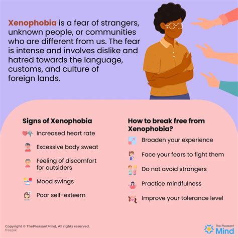 xenophobic meaning in english